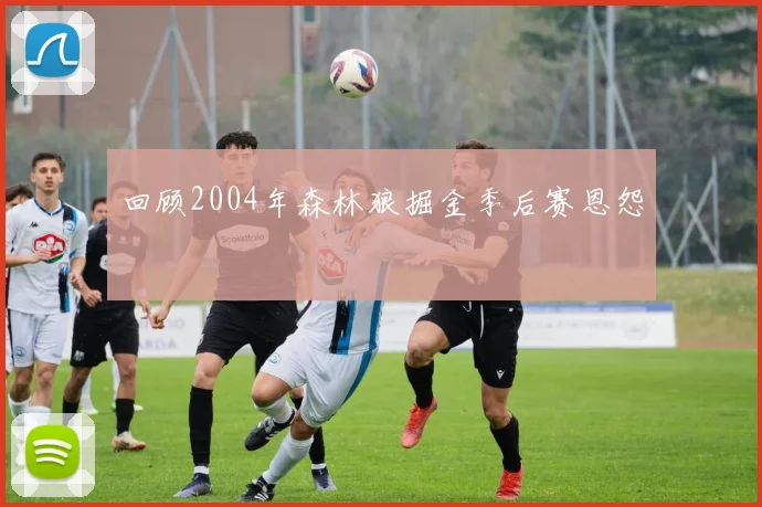 回顾2004年森林狼掘金季后赛恩怨