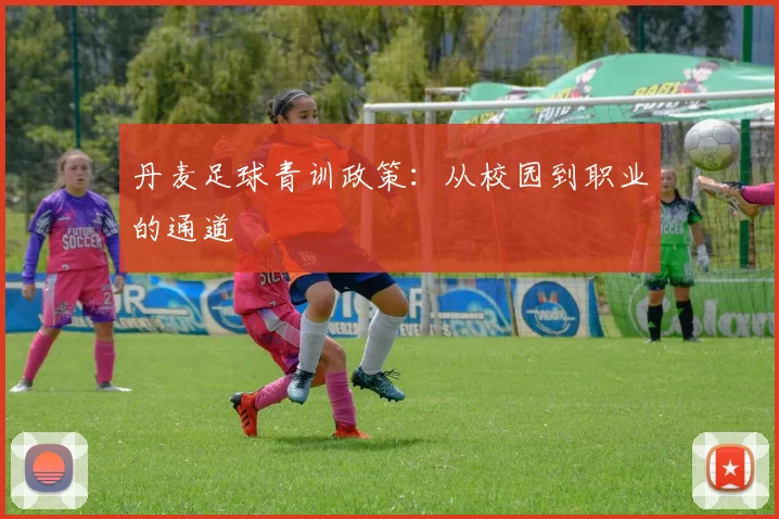 丹麦足球青训政策：从校园到职业的通道