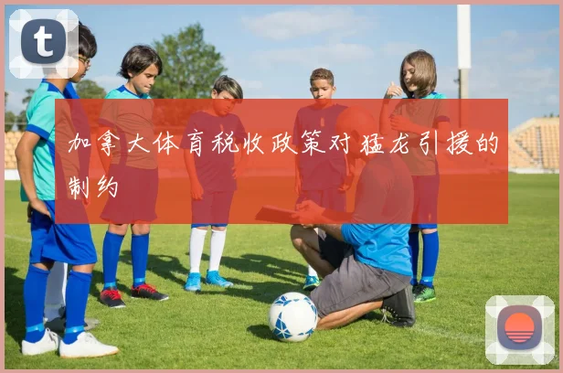 加拿大体育税收政策对猛龙引援的制约