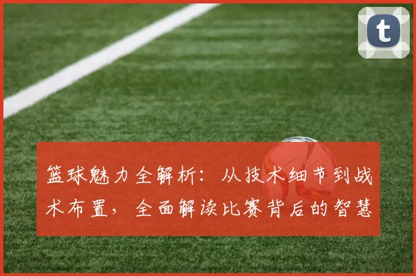篮球魅力全解析：从技术细节到战术布置，全面解读比赛背后的智慧与激情