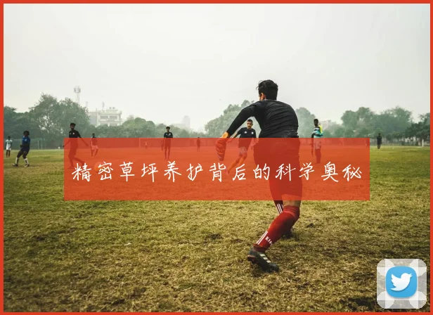 精密草坪养护背后的科学奥秘