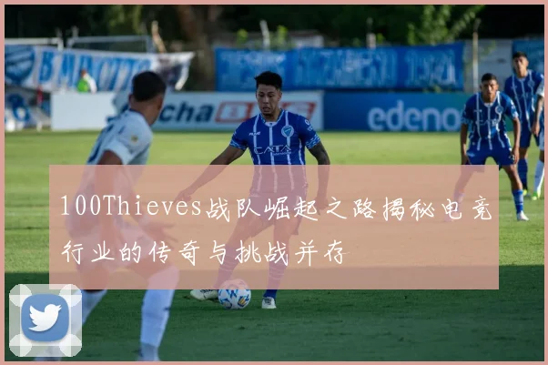 100Thieves战队崛起之路揭秘电竞行业的传奇与挑战并存